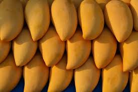 Mangoes – 1 kg