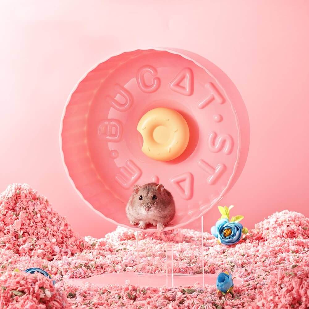 Hamster Exercise Wheel