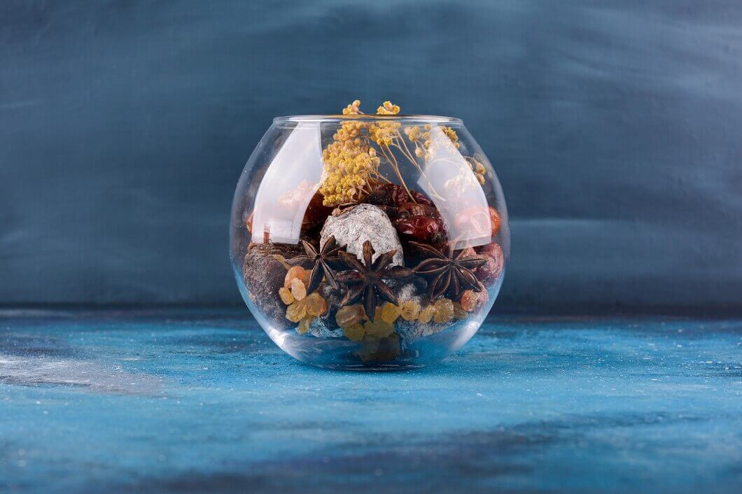 Aquarium Starter Kit